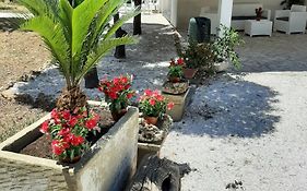 Tenuta Pizzi