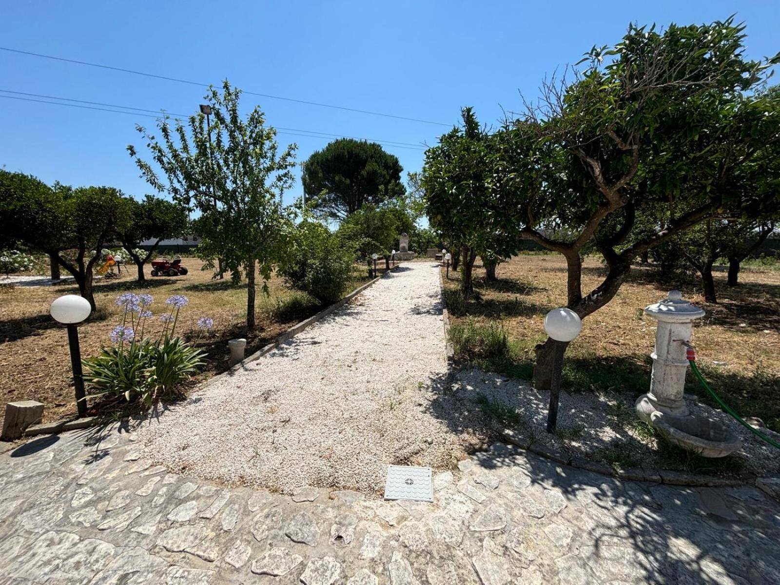 Tenuta Pizzi San Pietro Vernotico Esterno foto